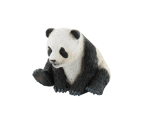 Imaginea Pui de urs panda